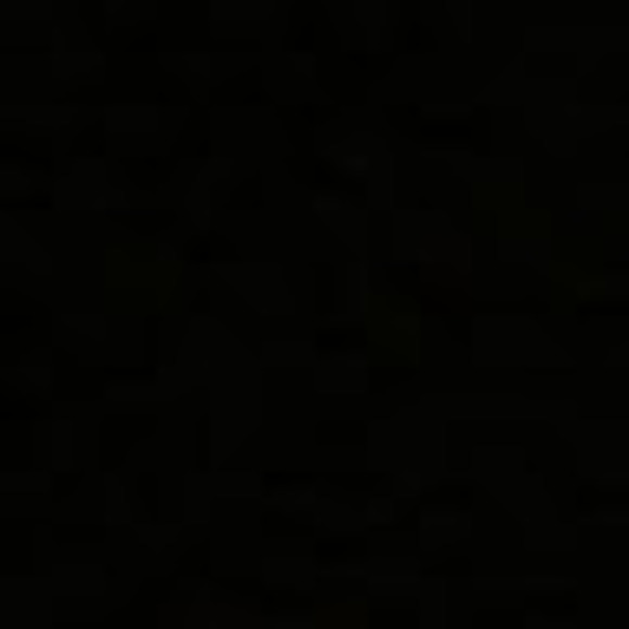 Meet your Posher, Palveer - Picture 1 of 1